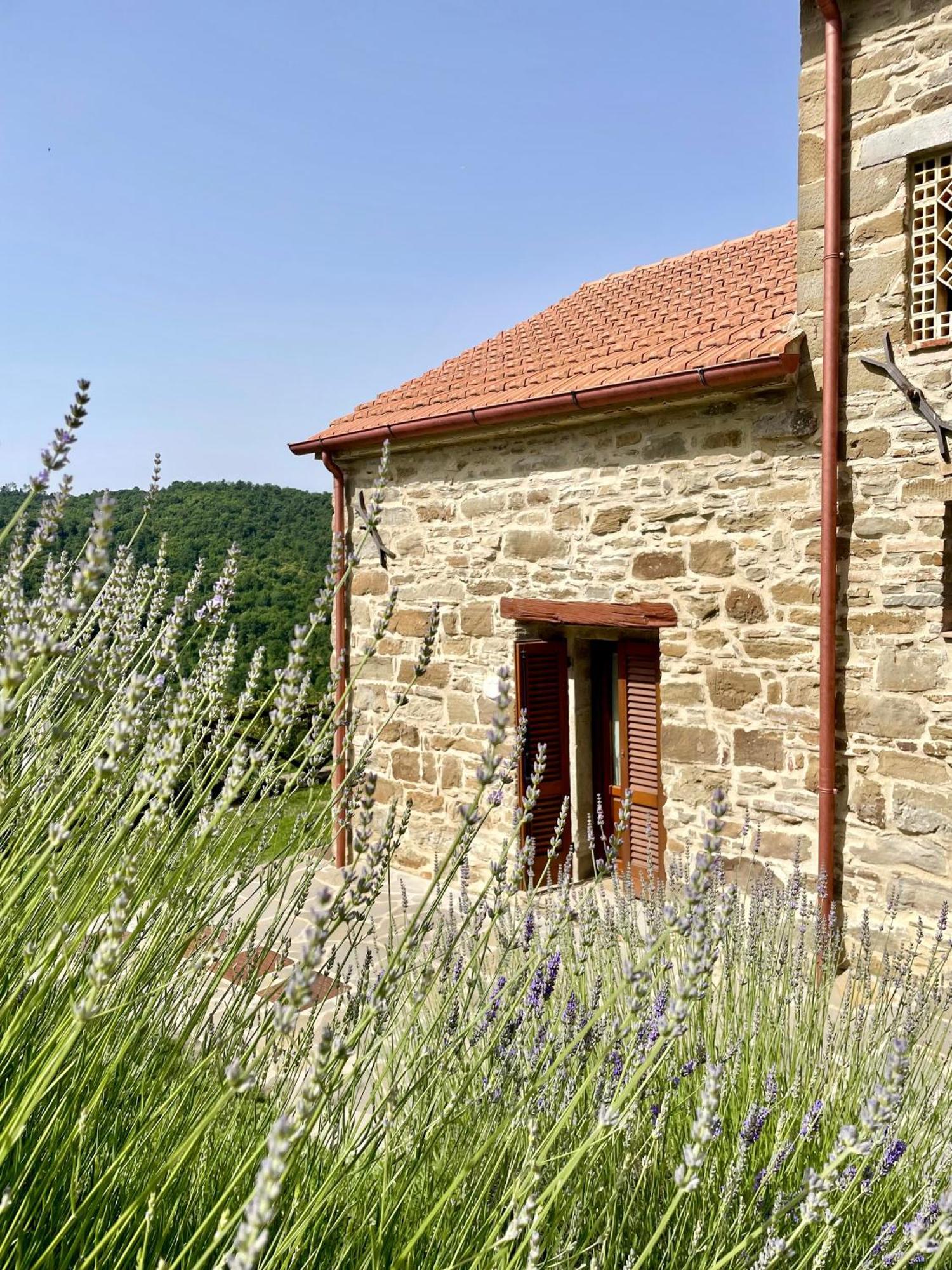 Locanda Del Viandante - Valle Apartments & Pool Anghiari Eksteriør billede